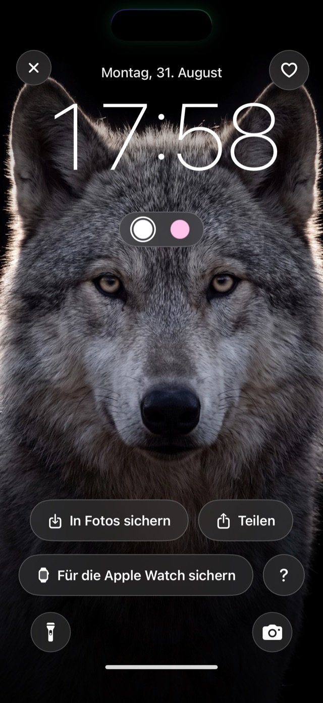 Bildschirmfoto der App: der Sperrbildschirm mit dem Motiv „Wolf im Gegenlicht“. Kopf und Ohren des Wolfs stehen vor den Ziffern der Uhr, die Uhrzeit bleibt trotzdem lesbar.