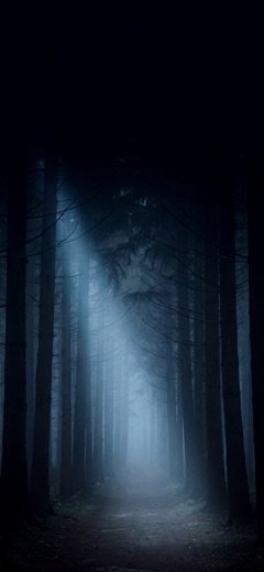 Nebelwald — eines der vier dauerhaft kostenlosen Motive
